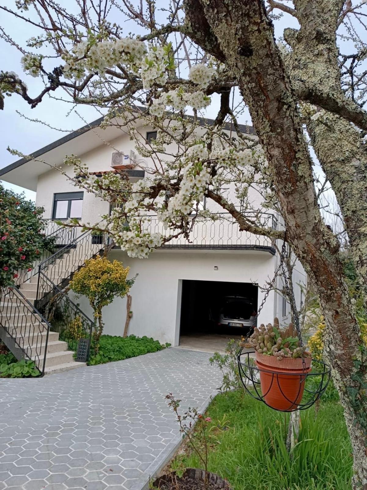 Casa De Fraguas Villa Arouca Exterior foto