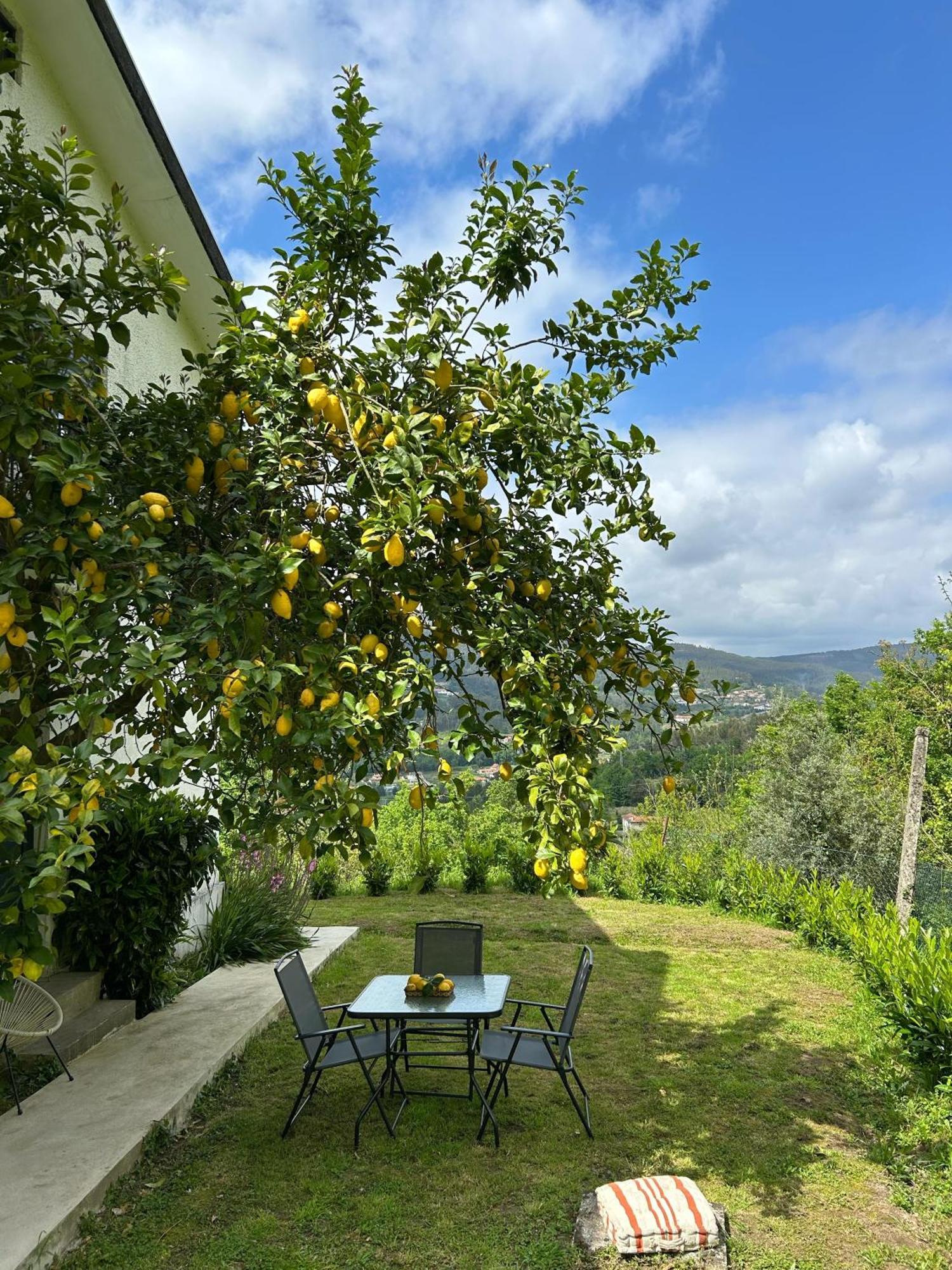 Casa De Fraguas Villa Arouca Exterior foto